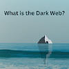 A Beginner's Guide: What is the Dark Web and How Does It Work