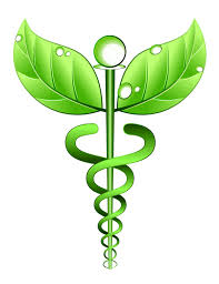 Image result for naturopathic doctor