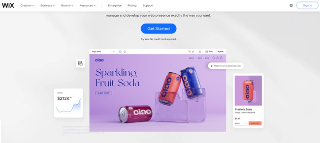 wix the best ecommerce site builder