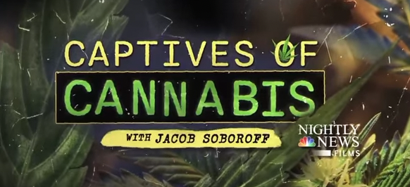 Poster: "Captives of Cannabis with Jacob Soboroff"
