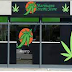 Determine a Legit Online Weed Dispensary