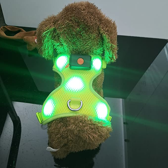 Domi Light Up Dog Harness - USB Rechargeable Reflective Dog Vest No Pull Led Dog Harness with Comfortable Padded Suit for Small / Medium / Large Dogs