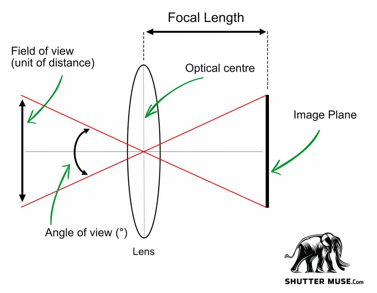 Angle of view and field of view illustrated.