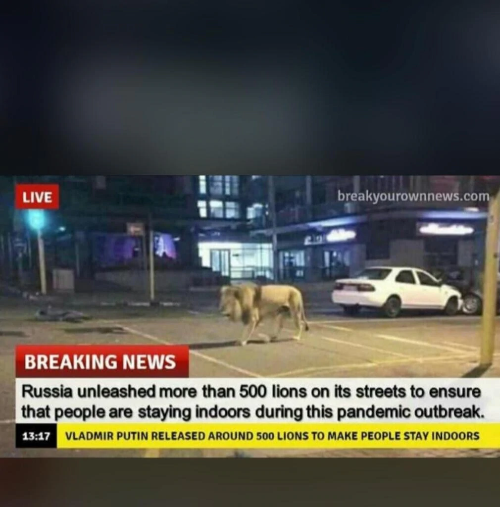 Breaking News: Lion on the street