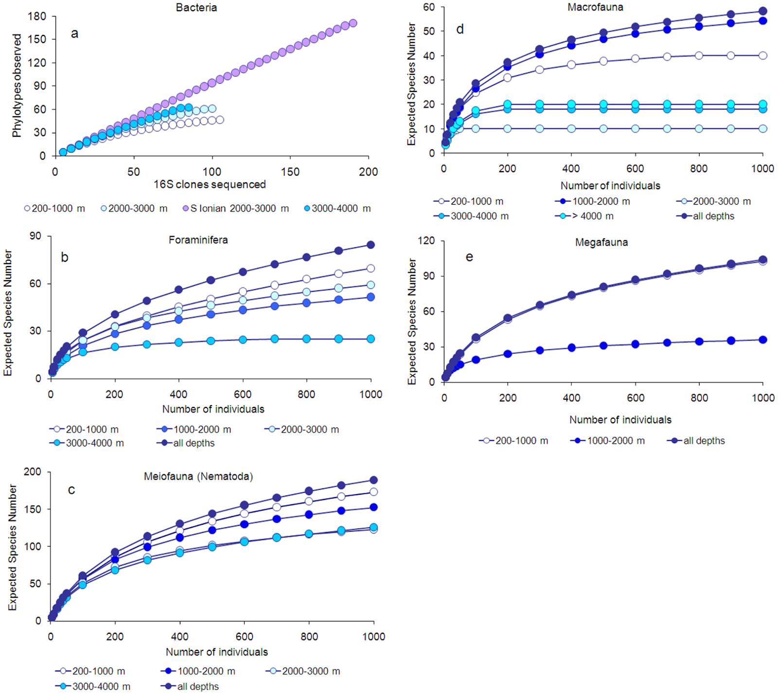 Five graphs show rarefaction curves for bacteria phylotypes observed, macrofauna expected species number, foraminifera expected species number, megafauna expected species number, and meiofauna expected species number. For all of the graphs, lower ocean depths have steeper curves with higher asymptotes than lower depths.