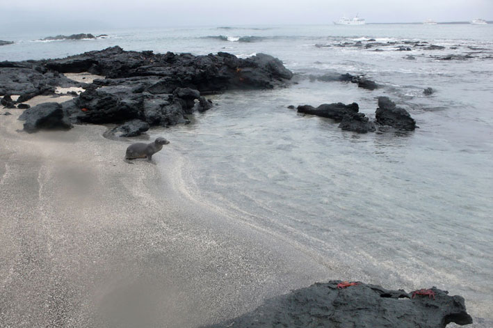 Lugares turisticos de Ecuador Galapagos