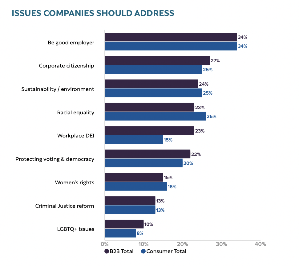Graph labelled Issues Companies Should Address, showing Be good employer first, corporate citizenship second, and sustainability and environment third