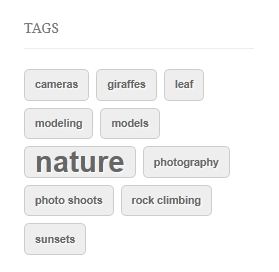 Tags do WordPress