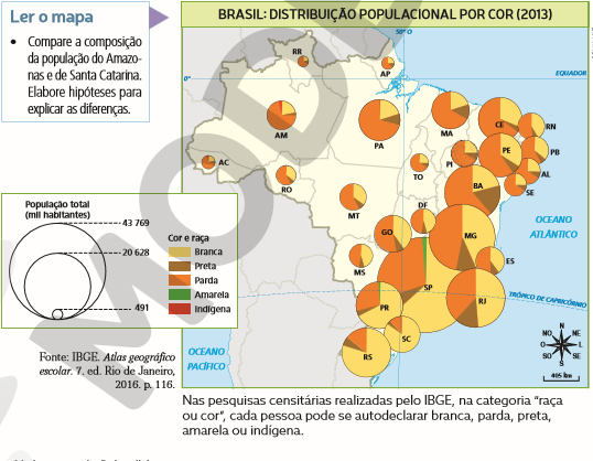 D:\PLANOS E ATIVIDADES\NEC TV\NEC 2021\ATIVIDADES E RASCUNHOS\TEMP 02\BRASIL - POPULAÇÃO POR COR.png