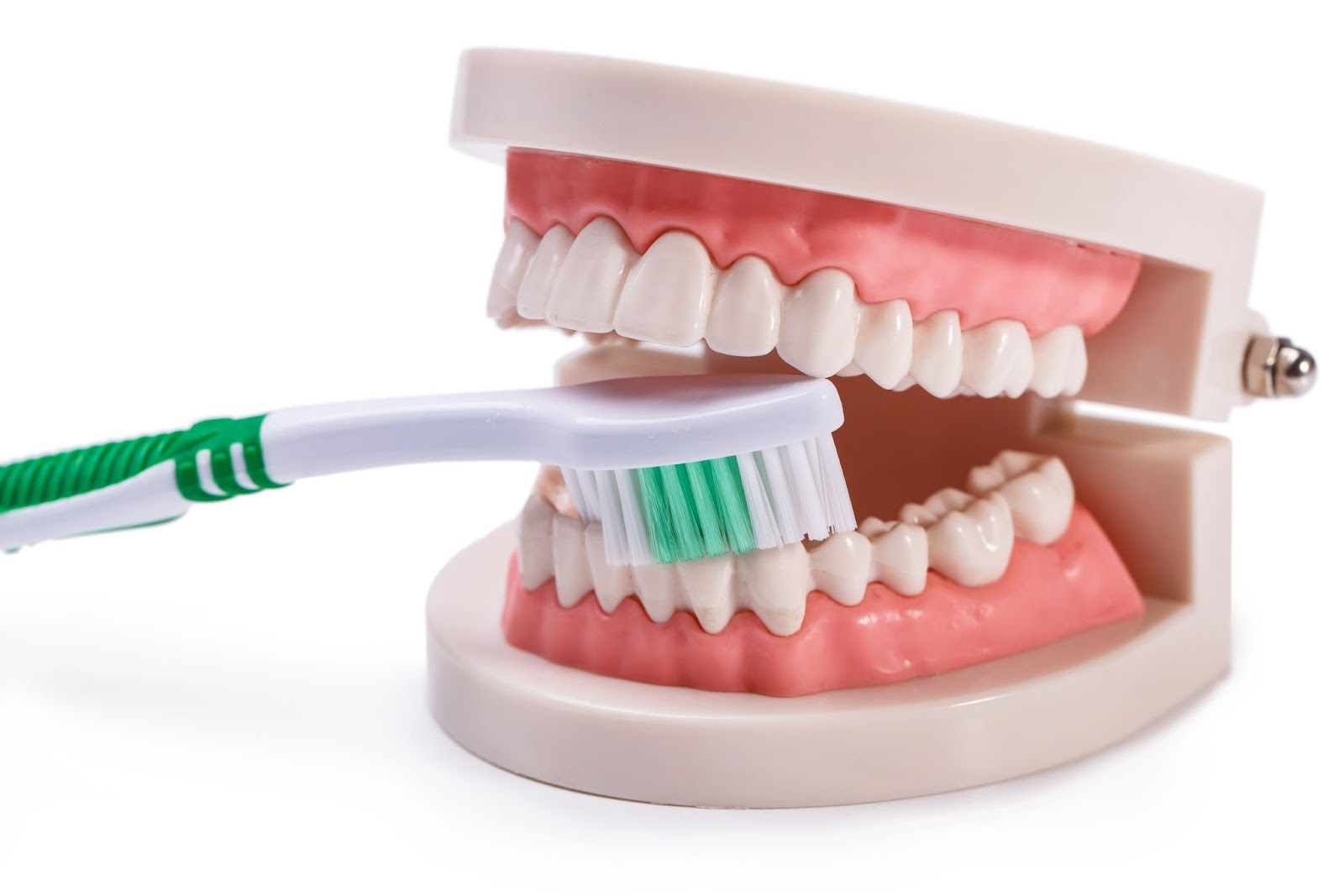 Teeth cleaning with Soft bristle toothbrush