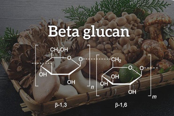beta-glucan-cau-truc-phan-tu