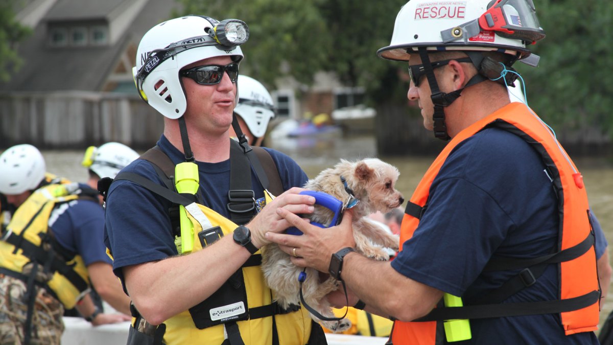 FEMA pet rescue