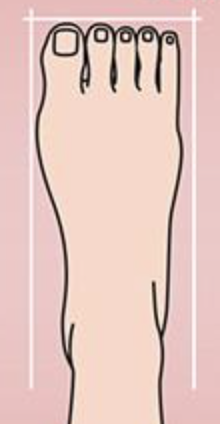 A cartoon of a person's leg Description automatically generated