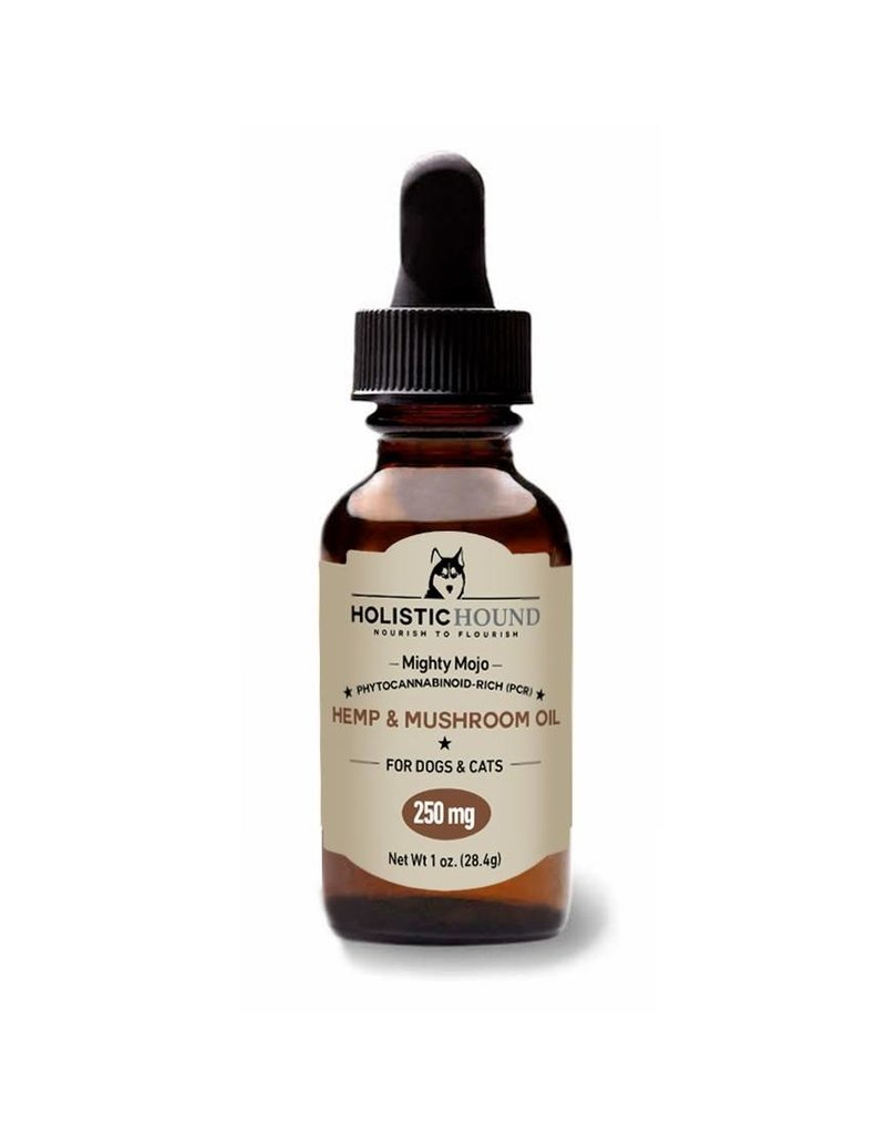 Best CBD oil for dogs with arthritis