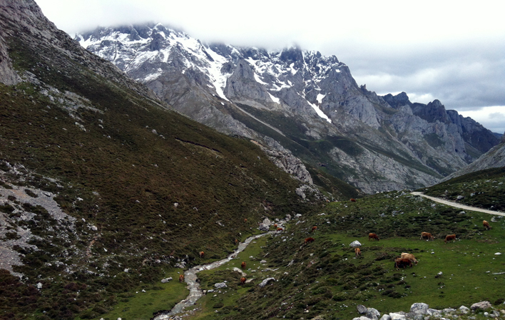 Mount Camba trail picos de europa
