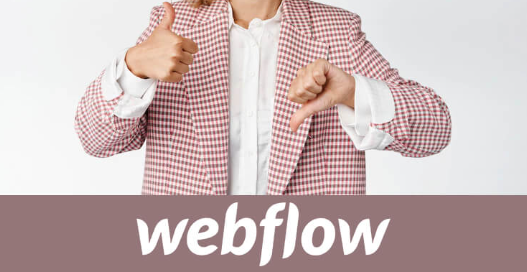 Webflow Platform Advantages and Disadvantages
