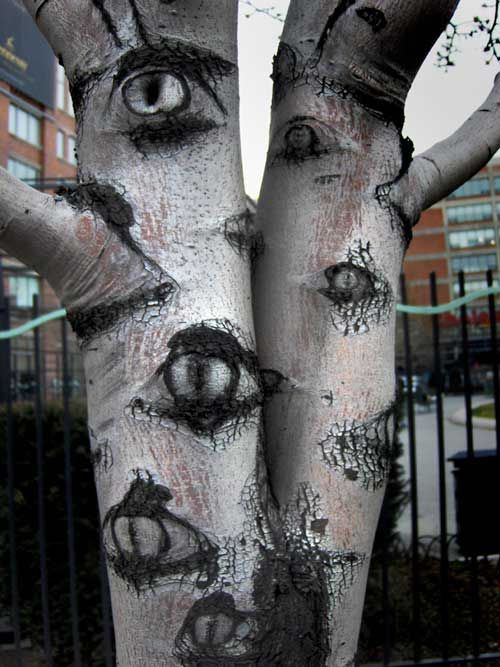 Halloween decoration outdoor tree with eyes