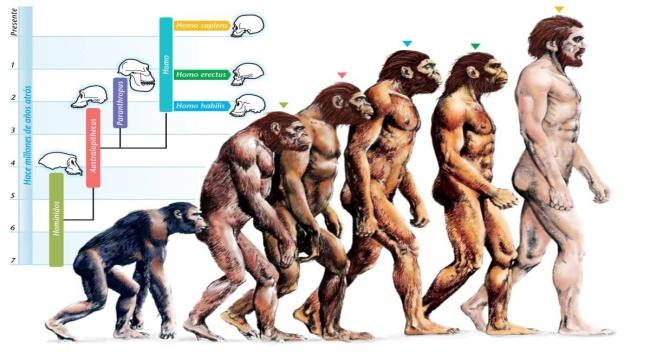 http://othereal.ru/wp-content/uploads/2015/08/2-evolution-evolution-of-humans.jpg