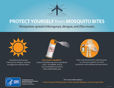 Protect Yourself from Mosquito Bites  Mosquitoes spread chikungunya, dengue, and zika viruses