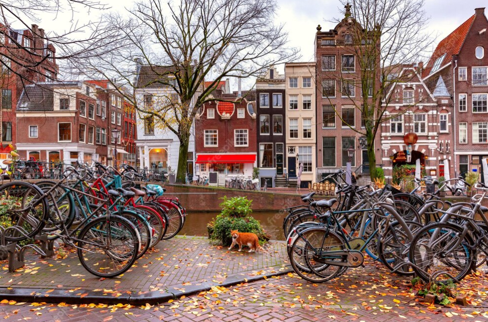bicycles, houses and tress in autumn