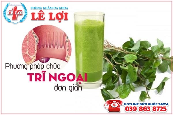 Bài thuốc từ Rau diếp cá chữa trĩ ngoại