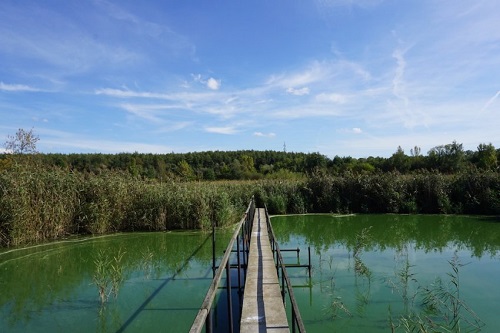 Most přes Heřmanický rybník v Ostravě.