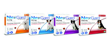 can my dog take nexgard and heartgard at the same time