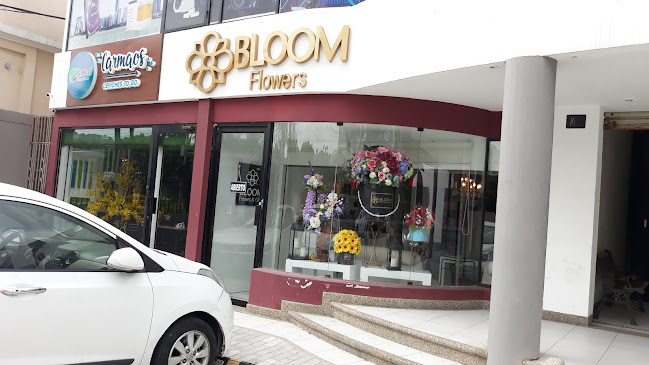 Opiniones de Bloom Flowers en Guayaquil - Spa