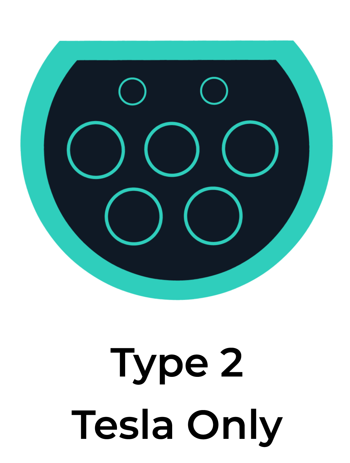 Icon, circle

Description automatically generated