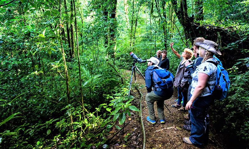 Monteverde Costa Rica