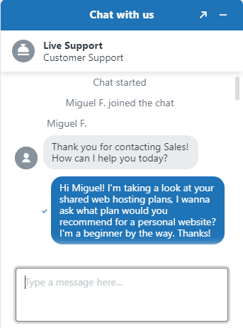 Screenshot of support chat