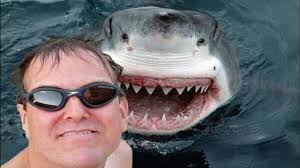 Image result for selfie with shark