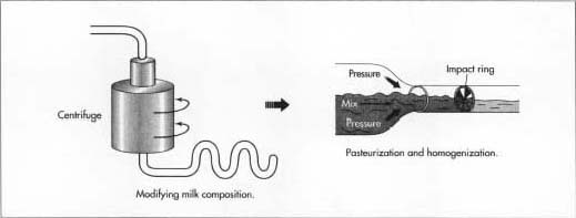 When the milk arrives at the plant, its composition is modified before it is used to make yogurt. This standardization process typically involves reducing the fat content and increasing the total solids. Once modification occurs, it is pasteurized to kill bacteria and homogenized to consistently disperse fat molecules.