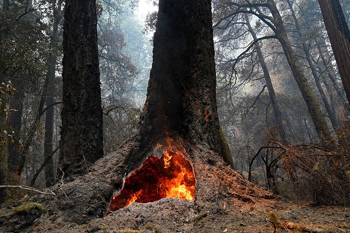 Controlled Burning