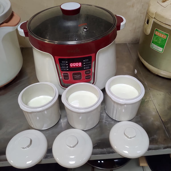 làm sữa chua nồi chưng 