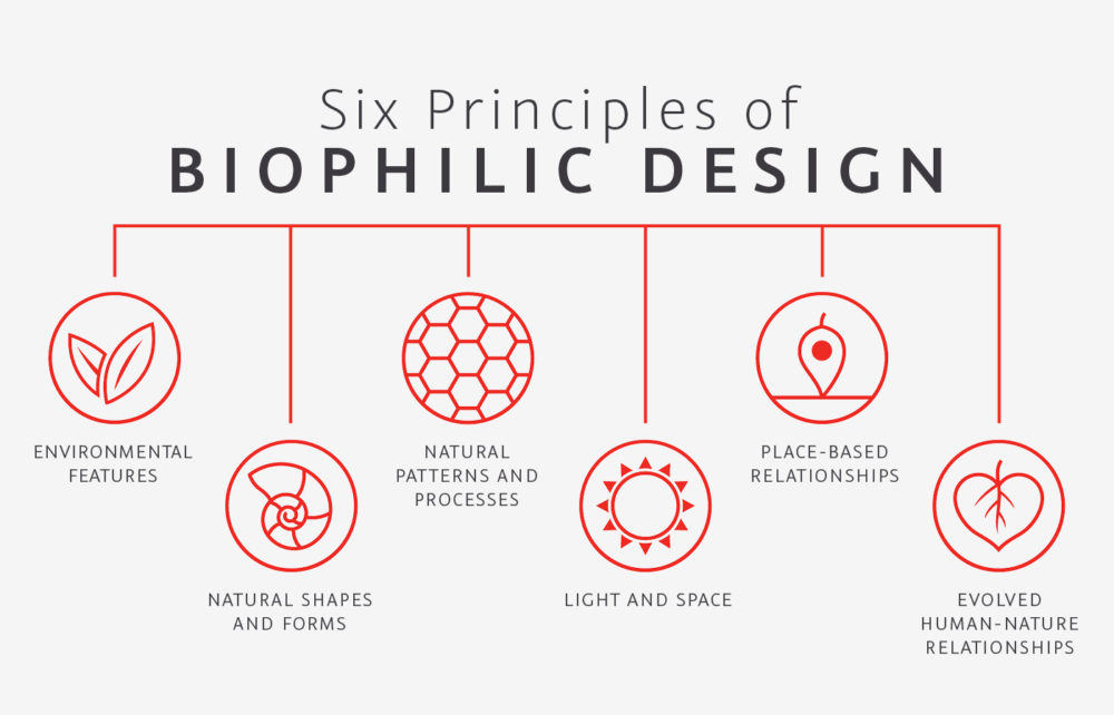 6 Principles of Biophilic Design