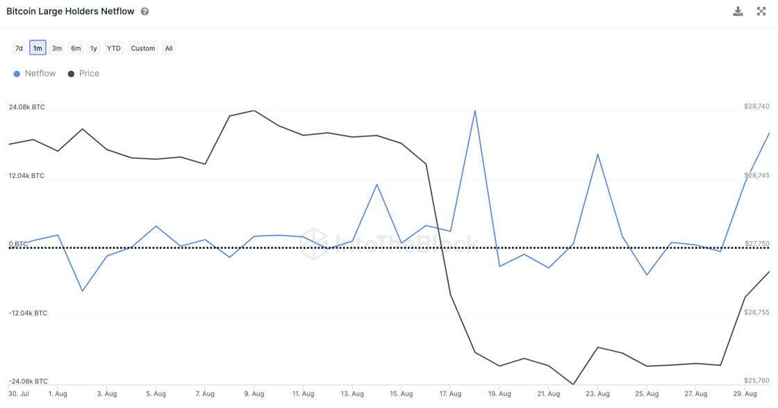 Netflow of large Bitcoin holders 