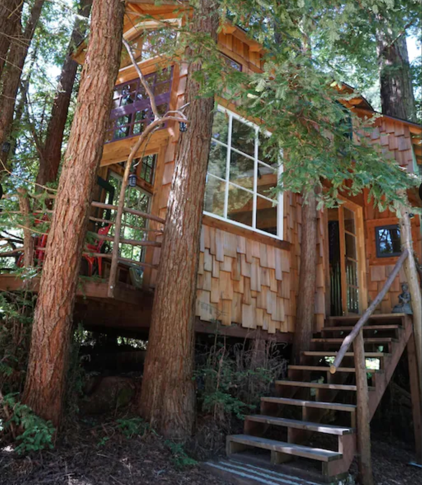 Treehouse in the Santa Cruz Mountains, Redwoods, Beaches & Silicon Valley - Family-Friendly Vacation Rental in California's Redwood National 