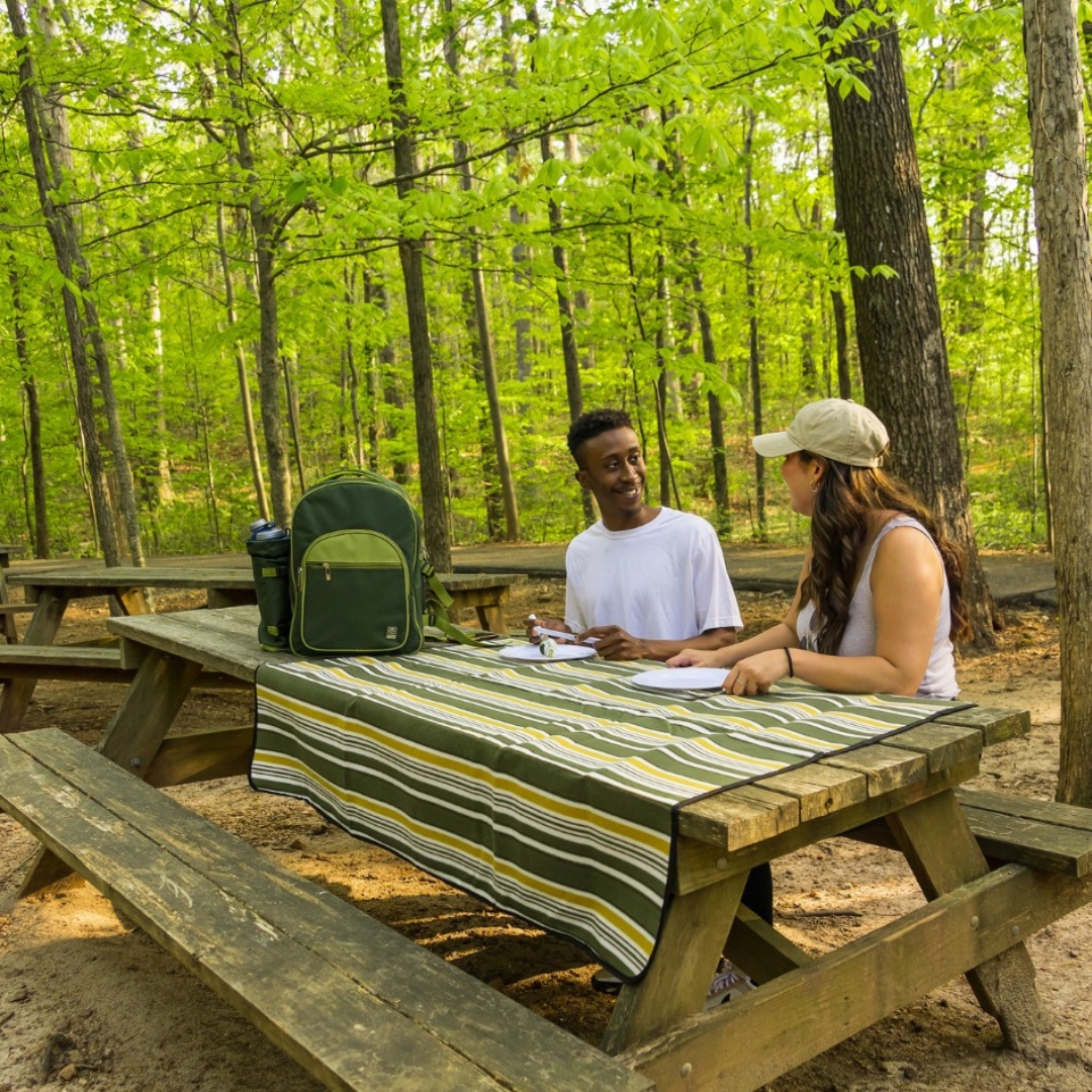 Enjoy an unforgettable picnic at Sawnee Mountain