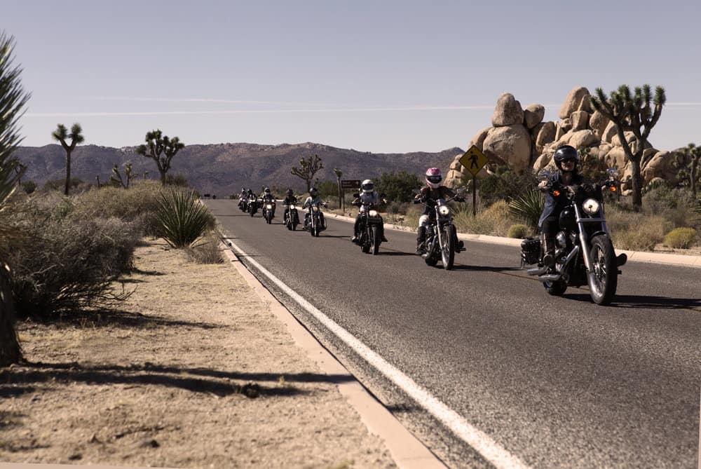 Experience an unforgettable motorcycle ride with friends on a scenic desert mountain highway