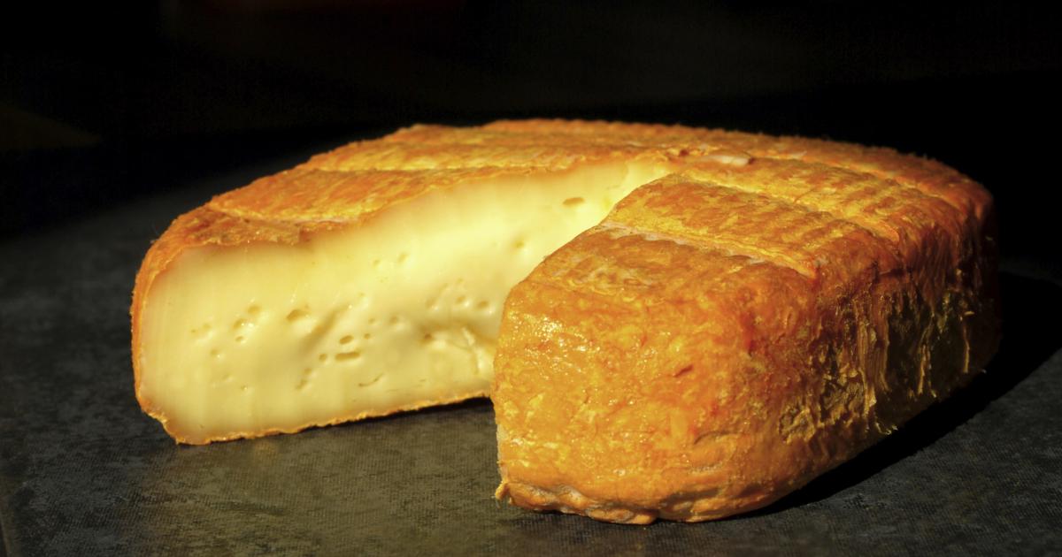 Maroilles, one of the most famous French cheeses and undoubtedly a culinary emblem of the region