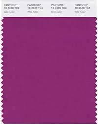 Image result for pantone purple colour swatch