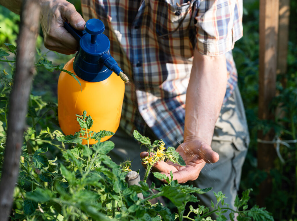 Use insecticidal soap