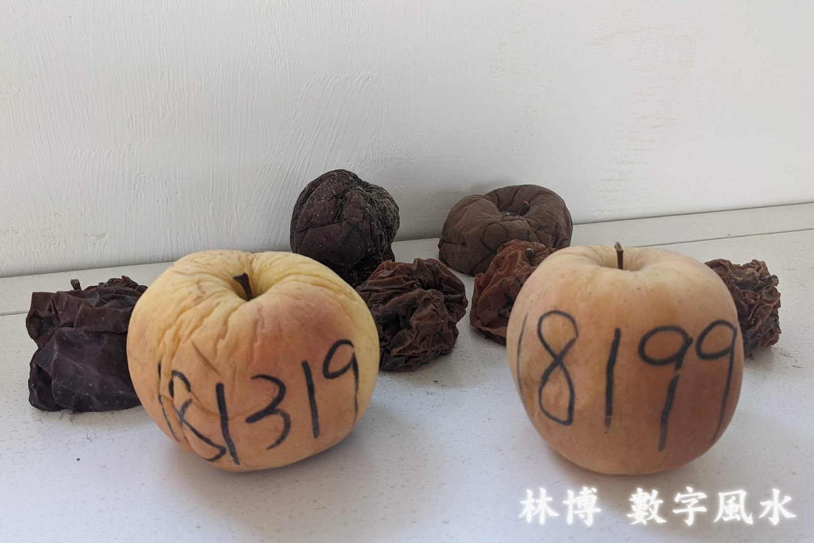 五鬼蘋果放了八個月後，由外觀可知，有做數字佈局的兩顆蘋果，仍保持外觀相當漂亮