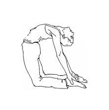 This image has an empty alt attribute; its file name is ushtrasana.jpg