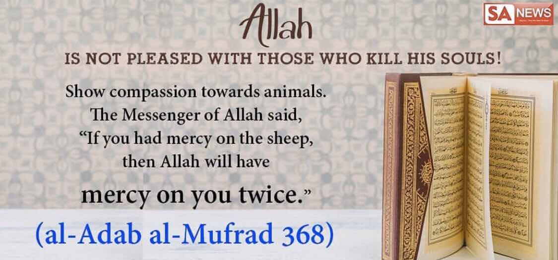 Is it right to eat Meat ?
