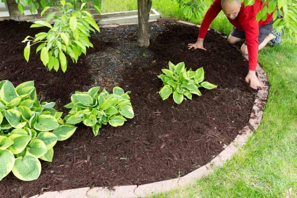 Fertilizers for Sustainable Gardens Mulches | Barefoot Garden Design
