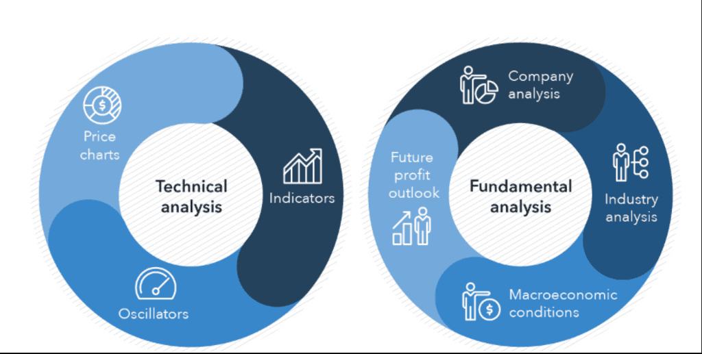 How to Analyze a Crypto Using Fundamental Analysis?