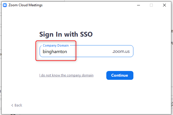 This image displays the Sign in with SSO Company Domain being set to "binghamton".