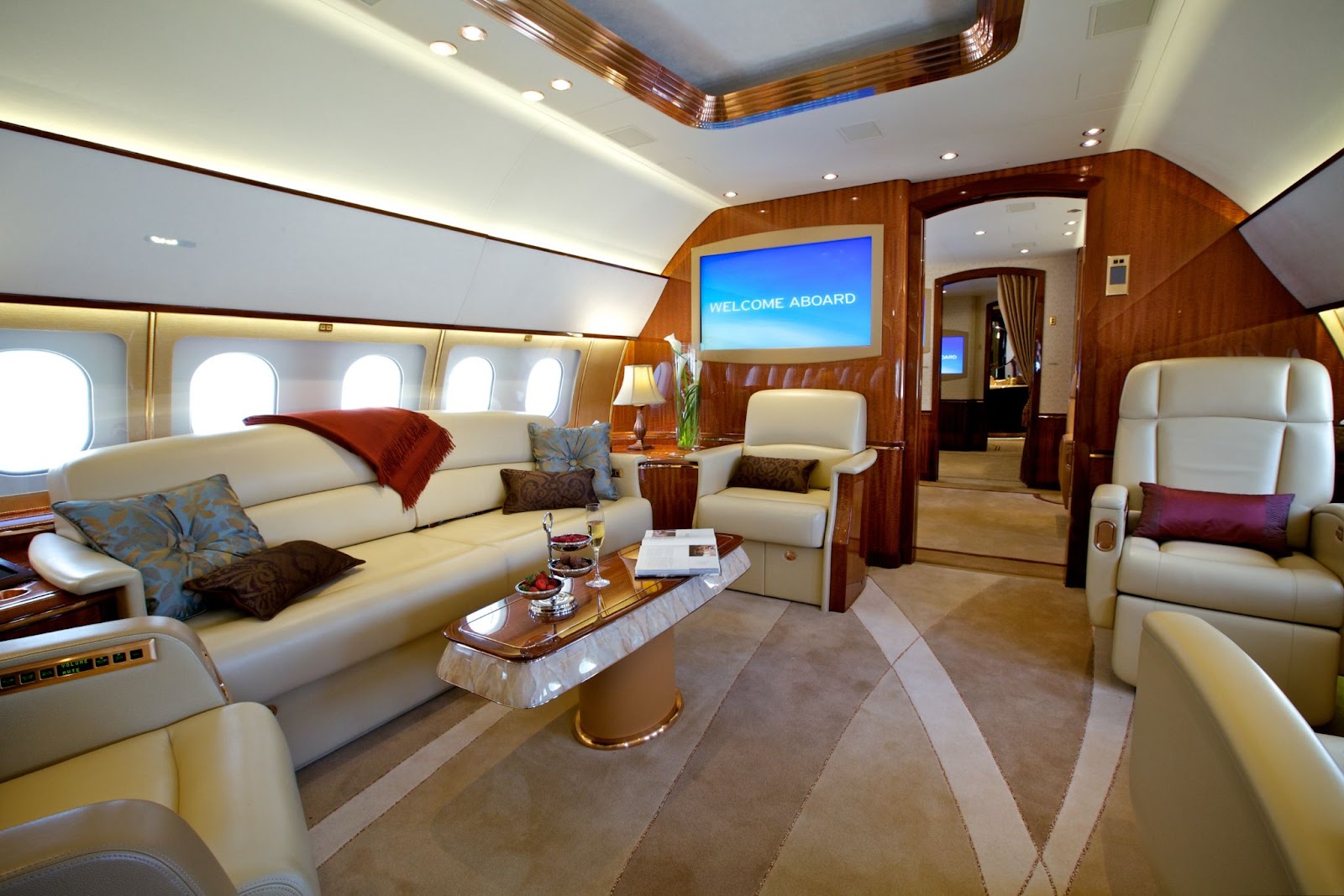 Aircraft Interior Refurbishment - luxury private jet with custom cushions. 
